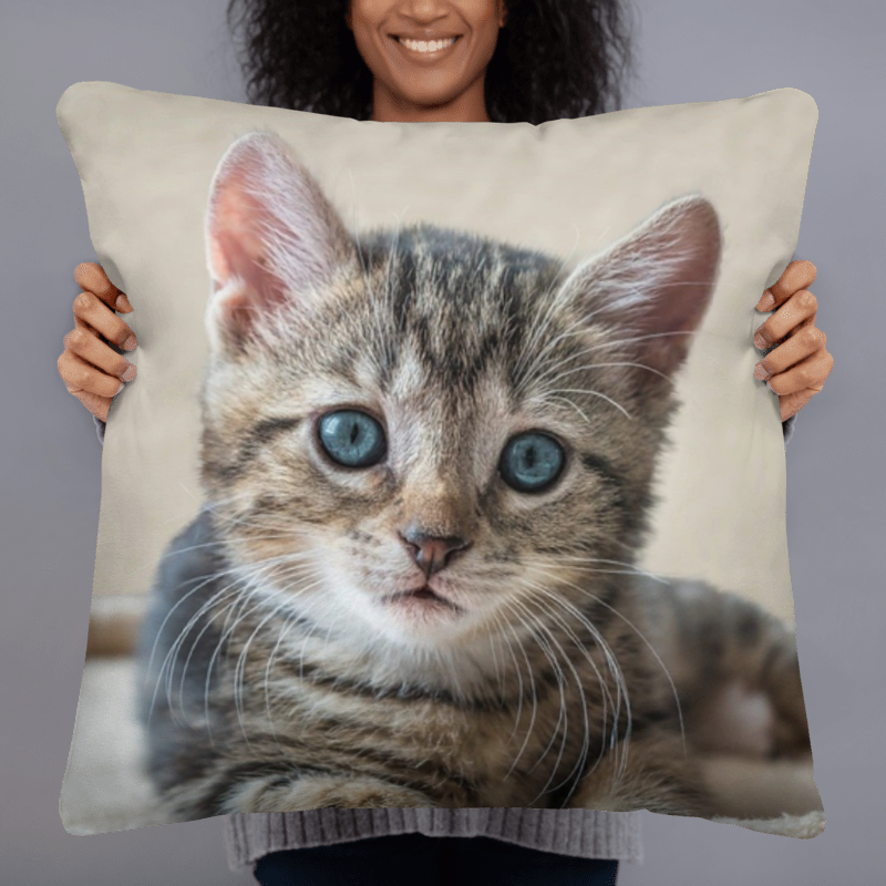 Customizable Accent Pillow