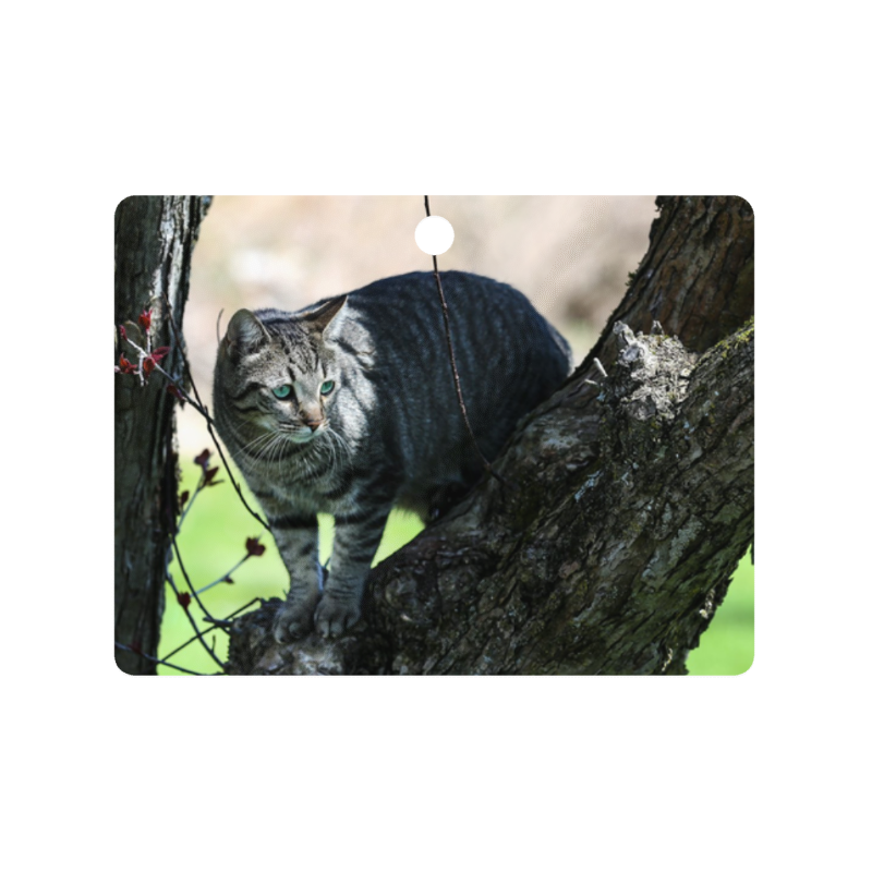 Customizable Metal Ornaments