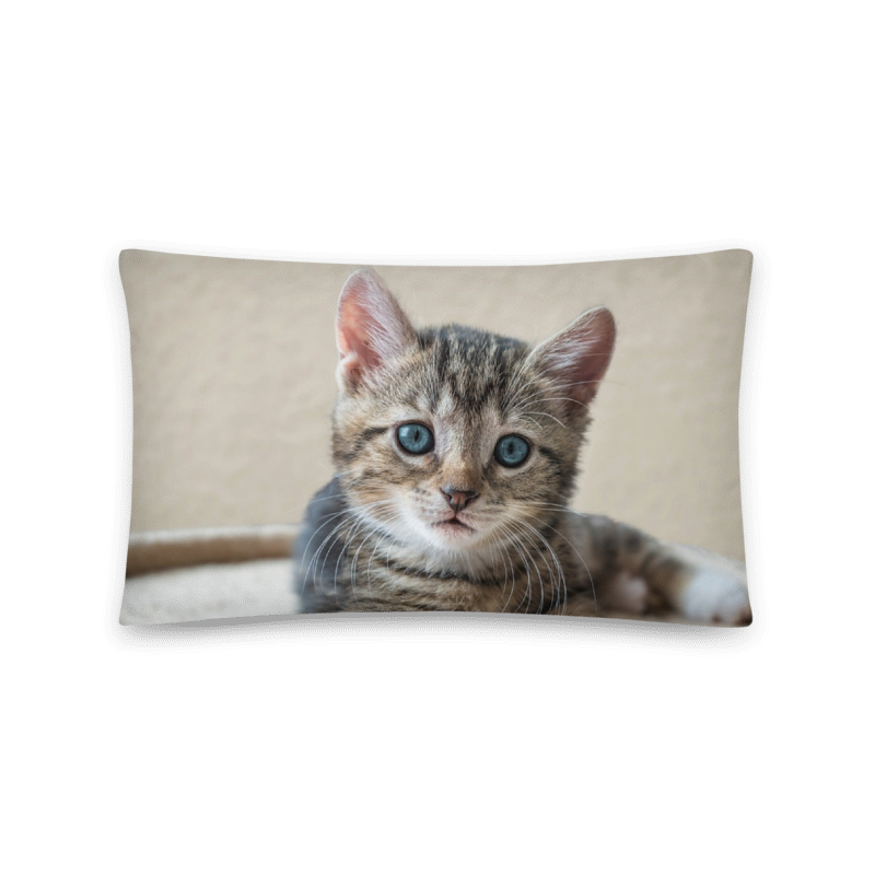 Customizable Accent Pillow