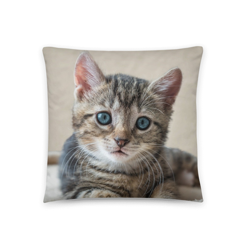 Customizable Accent Pillow