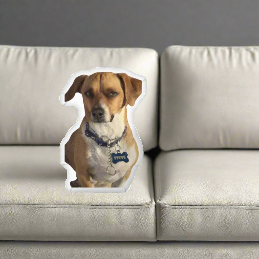 Pets Love Us Too Mascot Steve shaped pillow *Member cost $24.00*